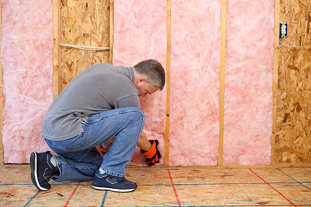 Best Insulation Maintenance and Repair in Forest Ranch, CA