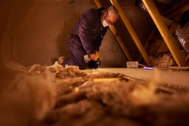 Best Residential Insulation in Forest Ranch, CA